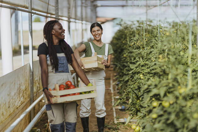 Smiling female farmers holding vegetable crates while standing at organic farm model released Symbolfoto property released OIPF01037
