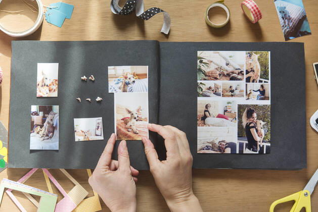 IMAGO Creative: Digitale Welt, Verzicht auf Technologie Woman making scrapbook of pet dog on table model released Symbolfoto property released SKCF00742