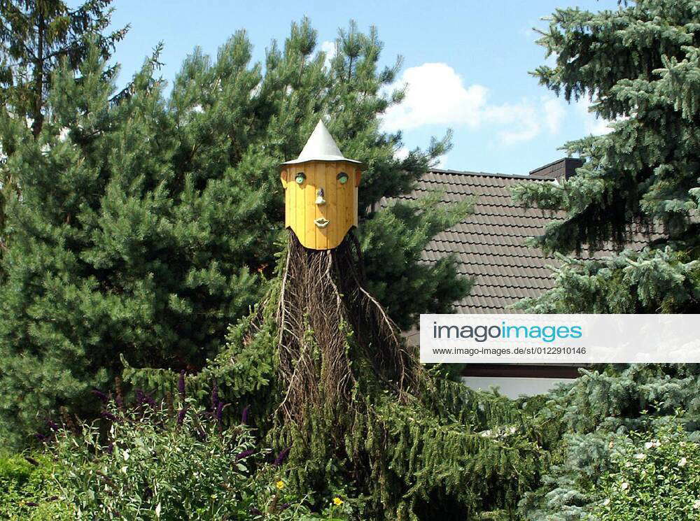 Holzmichel Fotos IMAGO