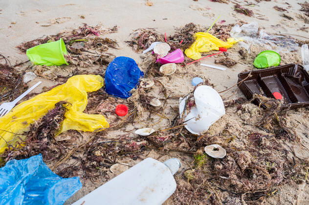 Kiel, Plastikmüll am Strand. Ab dem 3. Juli 2021 tritt die europaweite Verordnung zum Verbot von Einwegkunststoffprodukten in Kraft. Durch die neue Verordnung soll der Gebrauch von Wegwerfprodukten und die Vermüllung der Weltmeere gestoppt werden.