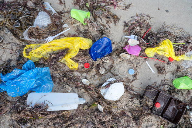 Kiel, Plastikmüll am Strand. Ab dem 3. Juli 2021 tritt die europaweite Verordnung zum Verbot von Einwegkunststoffprodukten in Kraft. Durch die neue Verordnung soll der Gebrauch von Wegwerfprodukten und die Vermüllung der Weltmeere gestoppt werden.