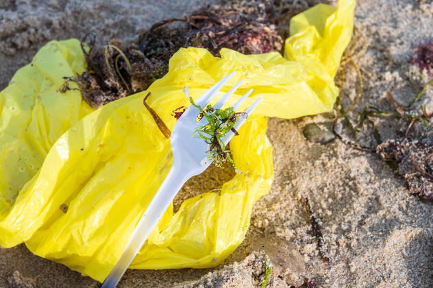 Kiel, Plastikmüll am Strand. Ab dem 3. Juli 2021 tritt die europaweite Verordnung zum Verbot von Einwegkunststoffprodukten in Kraft. Durch die neue Verordnung soll der Gebrauch von Wegwerfprodukten und die Vermüllung der Weltmeere gestoppt werden.
