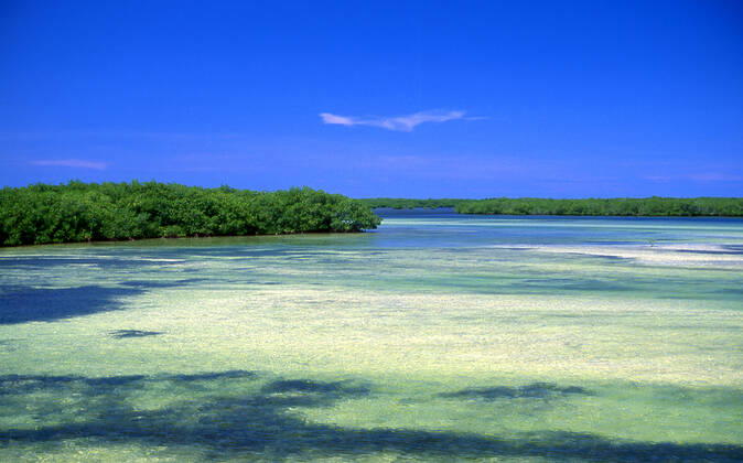 Cayo Coco, used as a hideout by buccaneers in the early colonial period, was home to a small settlement of fishermen and charcoal producers until 1955, when the freshwater supply was exhausted and the market for charcoal ended with the spread of electrification after the Cuban Revolution. A causeway connecting the island to the Cuban mainland opened on 26 July 1988, and resort construction began. Cuba: Cayo Coco, Jardines del Rey (Gardens of the King), Ciego de Avila Province xCPAxMediaxCo.xLtd.x Copyright: xDavidxHenleyx