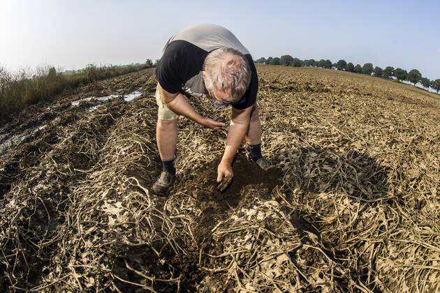 Flutkatastrophe, Niederlande, Zerstörte Ernte in Lottum bei Limburg LOTTUM - A farmer looks at his failed crop of potatoes on a flooded field in Limburg. Due to the floods and heavy rainfall, several crops have drowned. ANP VINCENT JANNINK Copyright: xHollandsexHoogtex xxANPx x434201729x