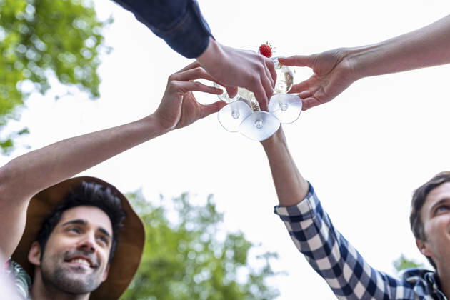 IMAGO Creative: Jahreszeit Frühling, Picknick Friends toasting cocktail during picnic model released Symbolfoto WPEF05035