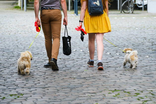 Düsseldorf 22.07.2021 Hund Hunde Gassi gehen gassigehen Spaziergänger spazieren Spaziergang Hundekot Hundekotbeutel Kotbeutel Düsseldorf Nordrhein-Westfalen Deutschland