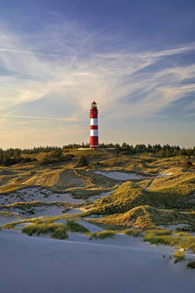 Leuchtturm Amrum in den Duenen am Abend, Deutschland, Schleswig-Holstein, Nordfriesland, Amrum Armrum Lighhouse in the dunes in evening light, Germany, Schleswig-Holstein, Northern Frisia, Amrum BLWS648418