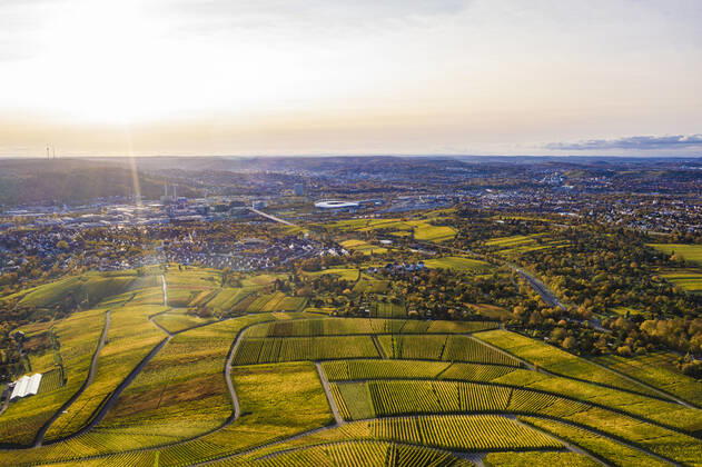 Germany, Baden-Wurttemberg, Stuttgart, Aerial view of vast countryside vineyards at autumn sunset WDF06379