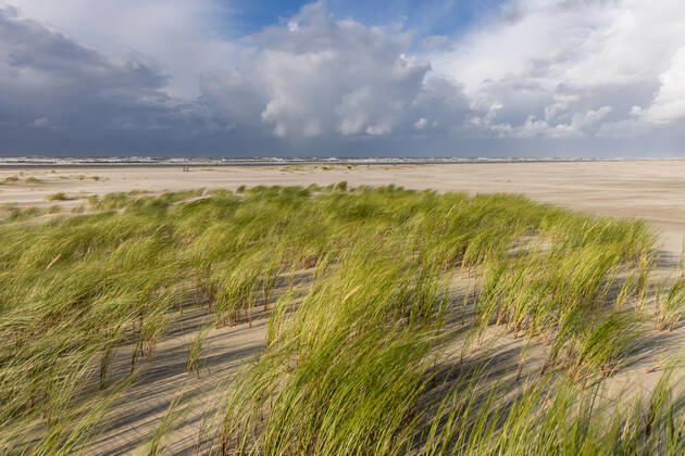 Norderney. 16 AUG 2021. Wolken über der Dünenlandschaft am Ostheller von Norderney. OSTFRIESLAND. Ostfriesische Inseln. Copyright: JanisMEYER Priller&MAUG JMY9F0588X