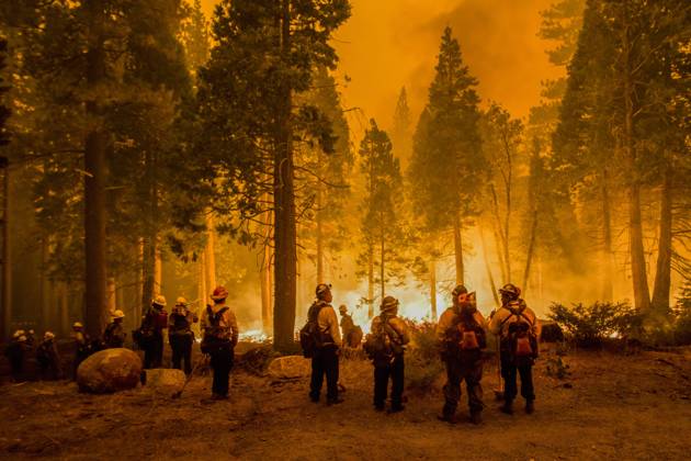 August 26, 2021, Strawberry, California, United States: Firefighters stand by flames at the Caldor fire after starting a Backfire..The Caldor fire has grown to over 130,000 acres and threatens to grow to the Tahoe basin. These images where taken at a backfire set by crews in an effort to gain control on the Caldor fire. Cause still unknown at this time. Strawberry United States - ZUMAs197 20210826_zaa_s197_275 Copyright: xTyxO Neilx