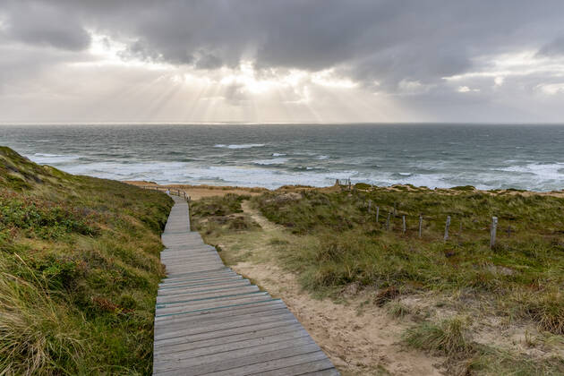 Sylt. 25 AUG 2021. Holzbohlenweg über dem Roten Kliff bei Kampen. NORDFRIESLAND. Nordfriesische Inseln. Copyright: JanisMEYER Priller&MAUG JMY9F1513X