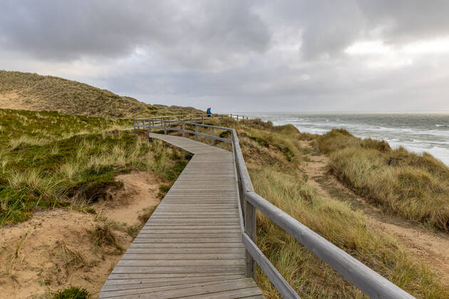 Sylt. 25 AUG 2021. Holzbohlenweg über dem Roten Kliff bei Kampen. NORDFRIESLAND. Nordfriesische Inseln. Copyright: JanisMEYER Priller&MAUG JMY9F1514X