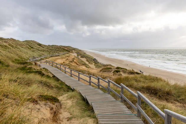 Sylt. 25 AUG 2021. Holzbohlenweg über dem Roten Kliff bei Kampen. NORDFRIESLAND. Nordfriesische Inseln. Copyright: JanisMEYER Priller&MAUG JMY9F1516X