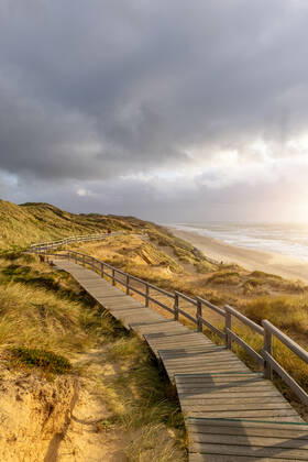 Sylt. 25 AUG 2021. Holzbohlenweg über dem Roten Kliff bei Kampen. NORDFRIESLAND. Nordfriesische Inseln. Copyright: JanisMEYER Priller&MAUG JMY9F1522X
