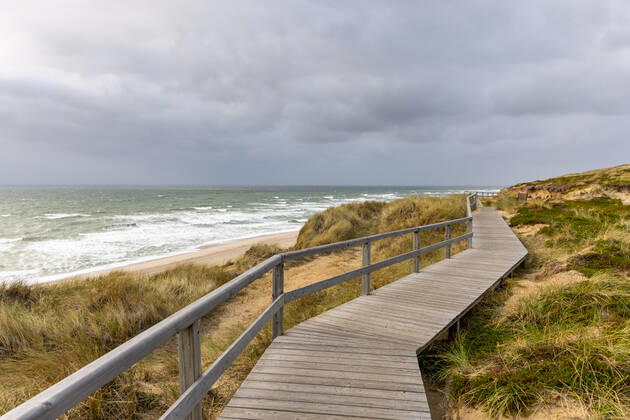 Sylt. 25 AUG 2021. Holzbohlenweg über dem Roten Kliff bei Kampen. NORDFRIESLAND. Nordfriesische Inseln. Copyright: JanisMEYER Priller&MAUG JMY9F1523X