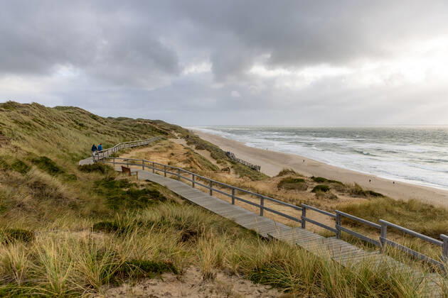Sylt. 25 AUG 2021. Holzbohlenweg über dem Roten Kliff bei Kampen. NORDFRIESLAND. Nordfriesische Inseln. Copyright: JanisMEYER Priller&MAUG JMY9F1515X