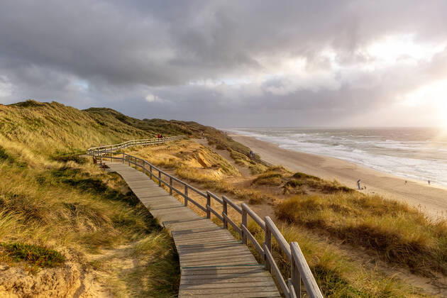 Sylt. 25 AUG 2021. Holzbohlenweg über dem Roten Kliff bei Kampen. NORDFRIESLAND. Nordfriesische Inseln. Copyright: JanisMEYER Priller&MAUG JMY9F1520X