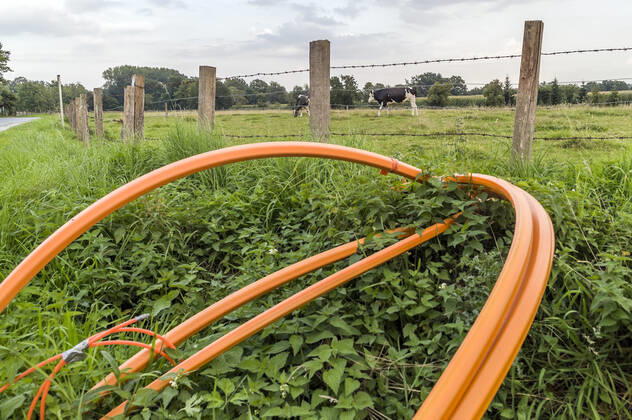 Glasfaserausbau auf dem Land Glasfaser Glasfaserausbau auf dem Land ländliche Region ländliches Gebiet Telekom Breitband Breitbandausbau Breitband-Ausbau Glasfasernetz Glasfaser-Netz FTTH-Netz Internet Glasfaserverkabelung Glasfaser-Ausbau FTTH Anschluss Digitalisierung Telekommunikation Internet Infrastruktur Deutsche Glasfaser Kühe 20210909ad792 Oelde Nordrhein-Westfalen NRW Deutschland Germany Copyright: xAchimxDuwentästerx