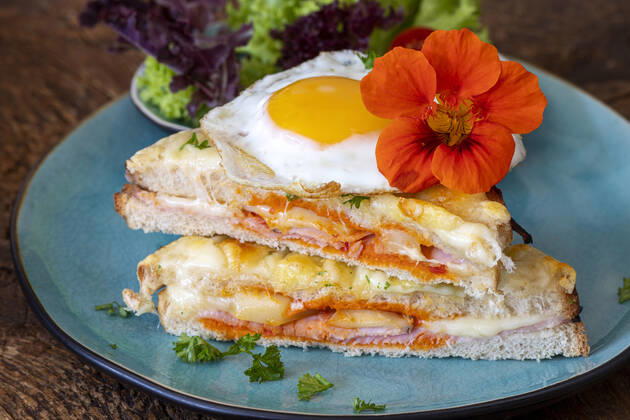 sandwich,schinkensandwich,croque madame,sandwiches