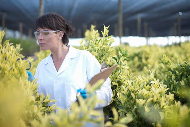 IMAGO Creative: Klimawandel - Zukunft und Innovation Scientist inspecting plants in plant nursery, 05.06.2013, Copyright: xZeroxCreativesx, model released, wearing,holding,looking,inspecting,working,green color,brown hair,abundance,serious,cultivation,growth,worry,plant,large group of objects,35 to 39 years,caucasian ethnicity,female,woman,mid adult woman,only one mid adult woman,one person,scientist,greenhouse,indoors,safety goggles,lab coat,horticulture,industry,science,check,clipboard,quality,worker,plant nursery,quality control,horticulturalist,June 2013 Release,Holding,Working,Caucasian Ethnicity,Mid Adult,35-39 Years,Female,Women,Mid Adult Women,Only Mid Adult Women,One Mid Adult Woman Only,Manual Worker,Science Occupation,Abundance,Growth,Quality,Large Group Of Objects,One Person,Wo Ref:IS09A8I90