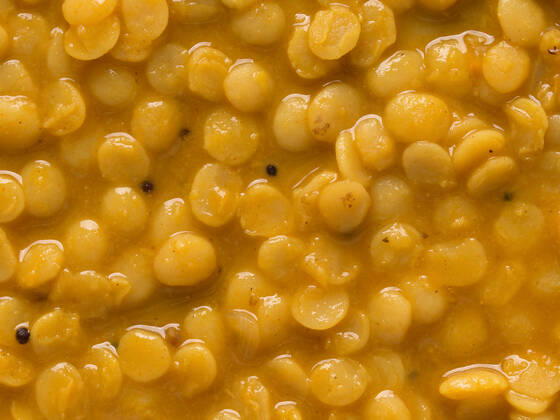 linsen,dhal,homonym,linse