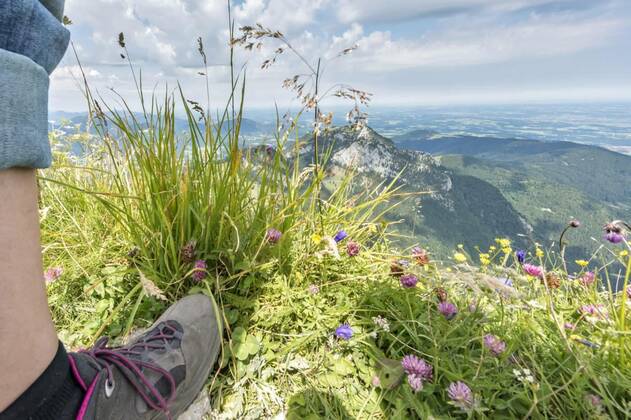 IMAGO Creative: Sommer, In den Bergen Wild Herbs in front of a Mountain Massif with Clouds and a Leg, 12.10.2020, Copyright: xJannyJandax Panthermedia22829353