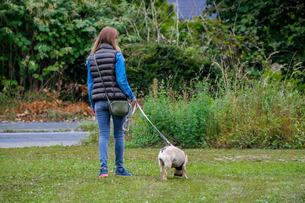 Düsseldorf 24.09.2021 Hund Hunde Gassi gehen gassigehen Spaziergänger spazieren Spaziergang Düsseldorf Nordrhein-Westfalen Deutschland