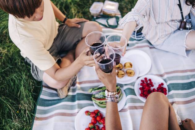 Friends toasting drinks during picnic at park model released Symbolfoto ASGF01402