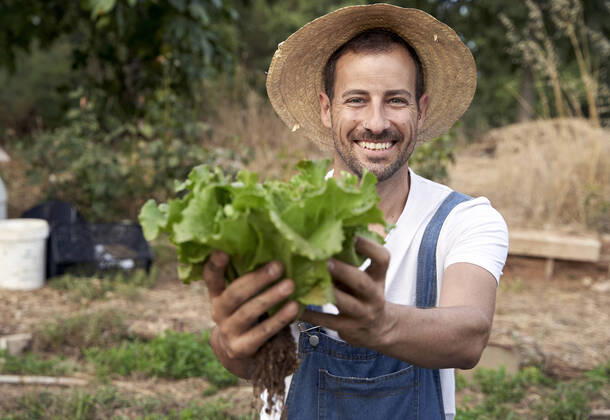 Happy male farm worker in hat offering fresh green lettuce model released Symbolfoto VEGF04944