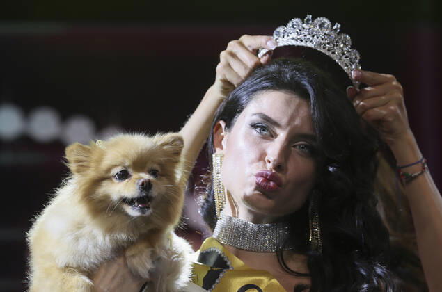 MOSCOW, RUSSIA â€“ SEPTEMBER 28, 2021: A dog with its owner Tatyana Vorozhenko at a ceremony to present the 2021 Golden Pet Awards at the Federation Tower of the Moscow International Business Centre. Vladimir Gerdo TASS  TS1125A8