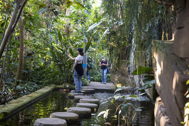 Botanische Nacht im Botanischer Garten in Berlin am 3. September 2021. Botanische Nacht im Botanischer Garten in Berlin
