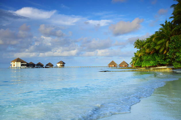 maldives landscape ocean palm sky Copyright: xx 6513440