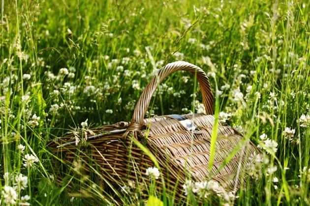 IMAGO Creative: Jahreszeit Frühling, Picknick picnic basket in green grass Copyright: xx 6657926