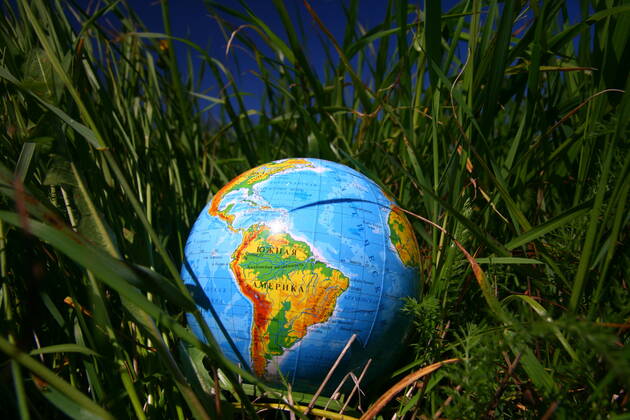 globe of planet earth in green grass Copyright: xx 6775688
