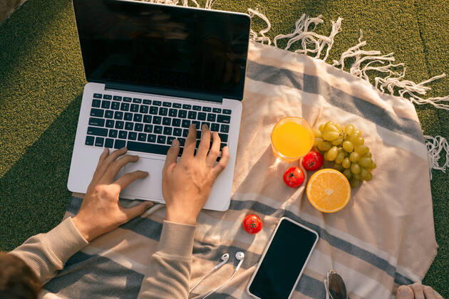 IMAGO Creative: Jahreszeit Frühling, Picknick Hands using laptop and typing in summer grass Hands using laptop and typing in summer grass Vietnam Vietnam Copyright: xMAKIx 38031110