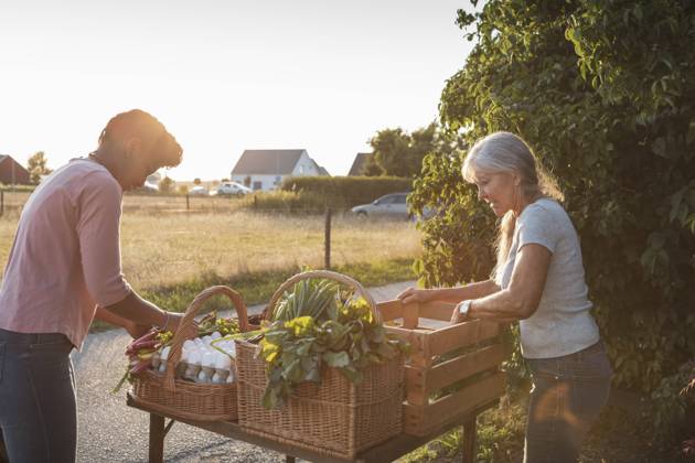 IMAGO Creative: Landleben - Essen IMAGO Creative: Landleben - Alfresco, Draußen Female farm workers arranging vegetable on market stall at roadside Sweden, Skane, model released, property released Copyright: xMaskotx , MA89259
