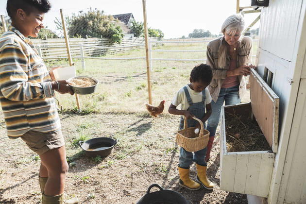IMAGO Creative: Landleben - Essen Creative Highlights Symbolbilder Boy keeping egg in basket from chicken coop by grandmother and mother Sweden, Skane, model released, property released Copyright: xMaskotx , MA89307