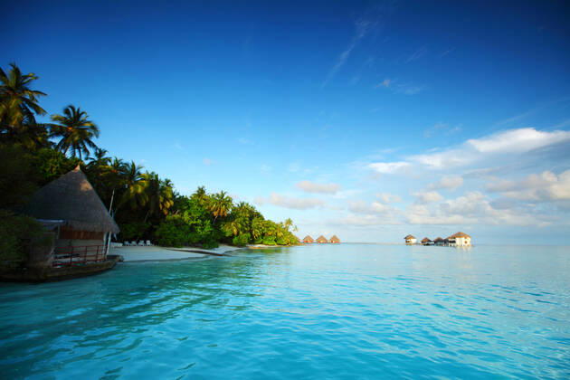 maldives landscape ocean palm sky Copyright: xx 5073120