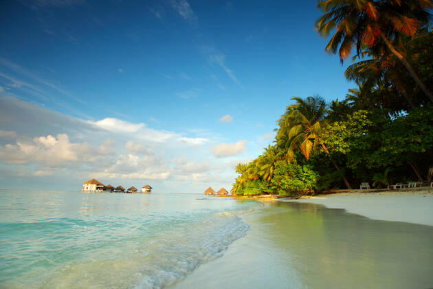 maldives landscape ocean palm sky Copyright: xx 5409990