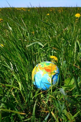 globe of planet earth in green grass Copyright: xx 5523478