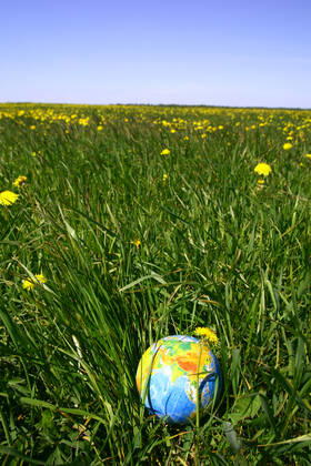globe of planet earth in green grass Copyright: xx 5776162
