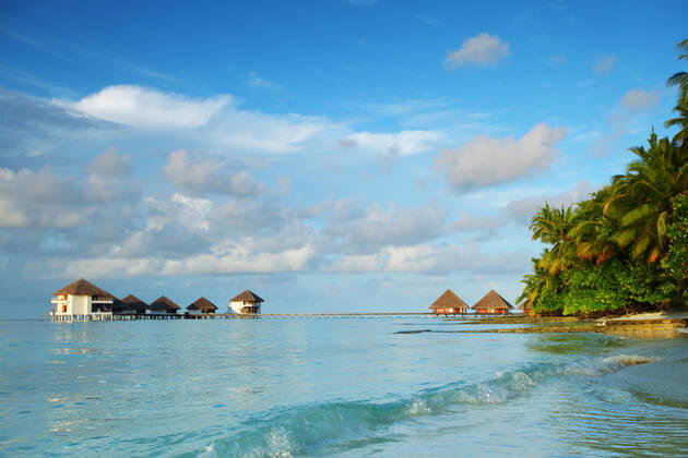 maldives landscape ocean palm sky Copyright: xx 6172940