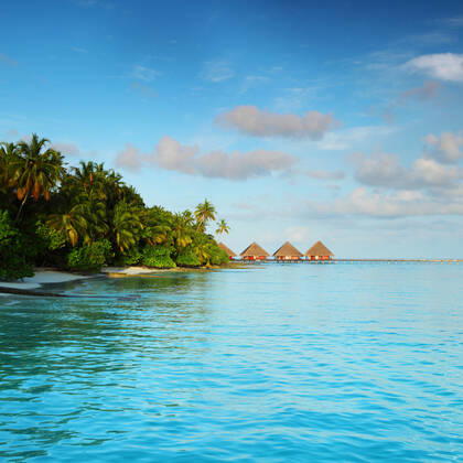 maldives landscape ocean palm sky Copyright: xx 6251398