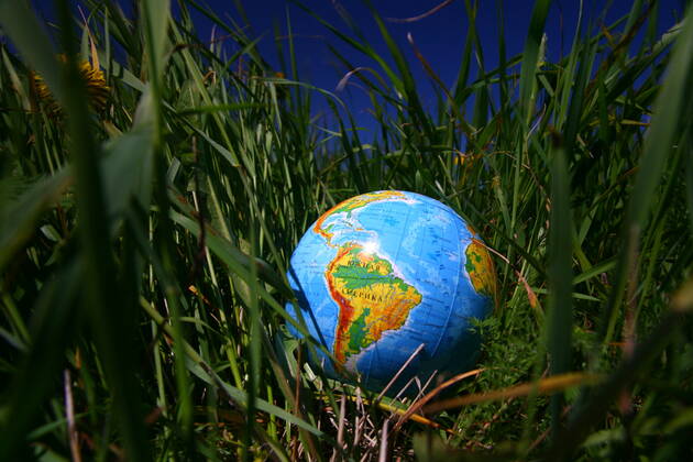 globe of planet earth in green grass Copyright: xx 6305526