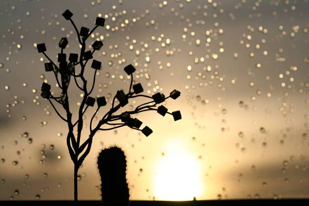 IMAGO Creative: Ende des Sommers sunset on a raindrops window nature background Copyright: xx 6306900