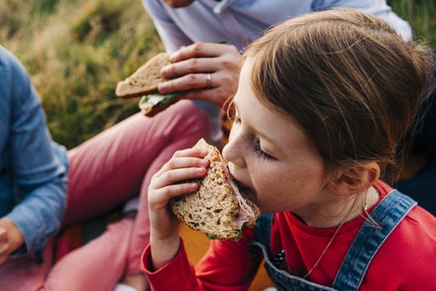 Girl eating sandwich with parents at park model released, ASGF01671