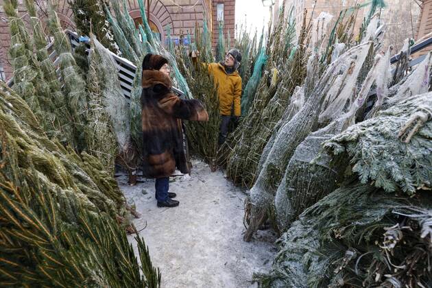 Bilder des Jahres 2021, News 12 Dezember News Bilder des Tages (211229) -- MOSCOW, Dec. 29, 2021 -- People select packed trees for the New Year celebration at a bazaar in Moscow, Russia, Dec. 29, 2021. (Photo by Xinhua) RUSSIA-MOSCOW-NEW YEAR-TREE-BAZAAR AlexanderxZemlianichenkoxJr 