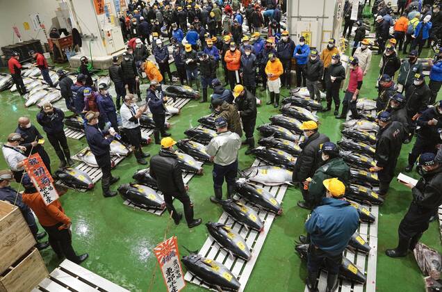 Bilder des Jahres 2022, News 01 Januar News Themen der Woche KW01 News Bilder des Tages Japan, Neujahrs-Tunfisch-Auktion in Tokio New Year tuna auction in Tokyo The year s first auction for tuna is held at Tokyo s Toyosu market on Jan. 5, 2022.  A14AA0001175375P