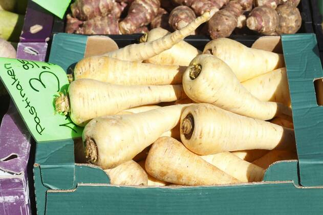  pastinak (parsniva sativa),parsnip,parsnips,tuber vegetables, 12.10.2020, Copyright: xDetailfotox Panthermedia25109370