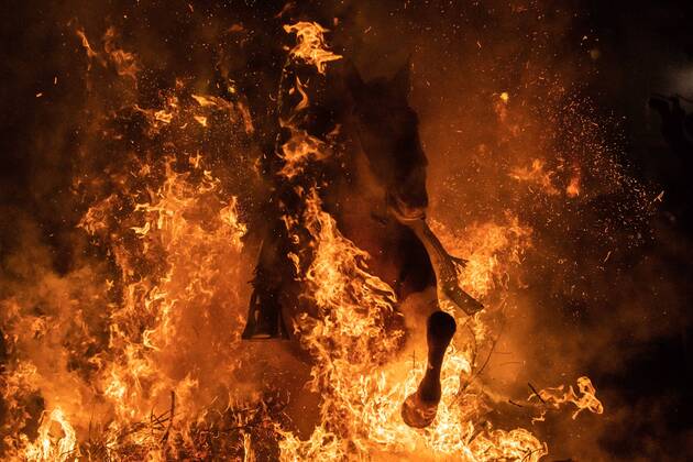 Bilder des Jahres 2022, News 01 Januar News Themen der Woche KW02 News Bilder des Tages Spanien, Festival Luminarias des heiligen Antonius in San Bartolome de Pinares January 16, 2022, San Bartolome de Pinares, Avila, Spain: A man rides a horse through a bonfire as part of a ritual in honor of Saint Anthony the Abbot in San Bartolome de Pinares, Spain, on January 16, 2022. On the eve of Saint Anthony s Day, the patron saint of animals, horses are ridden through the bonfires in the narrow cobblestone streets of the small village of San Bartolome. The tradition, known as Luminarias, is hundreds of years old and is meant to purify and protect the animal during the year ahead. San Bartolome de Pinares Spain - ZUMAb157 20220116_zap_b157_014 Copyright: xManuelxBallesx